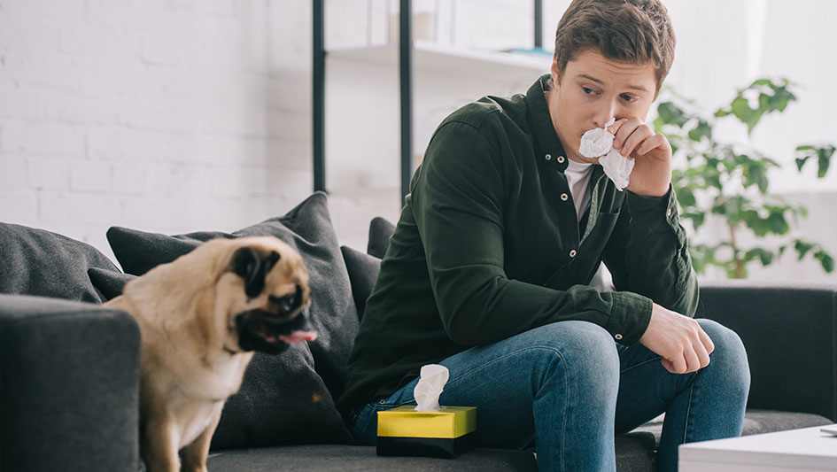 Purchasing an air purifier is one of the best ways to boost your residence’s indoor air quality. Discover more about the three smartest products. 